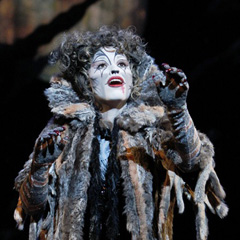 Cats at the Northern Alberta Jubilee Auditorium
