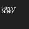 Skinny Puppy, Midway Music Hall, Edmonton